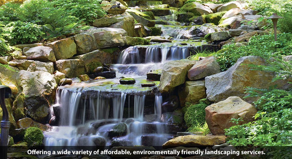 Affordable environmentally friendly landscaping